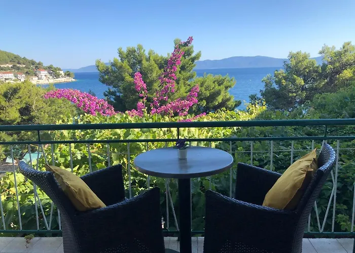 公寓 With Shared Kitchen 