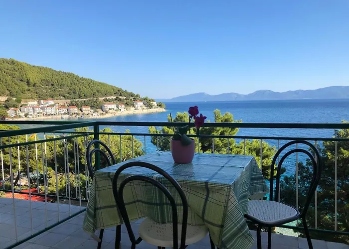 公寓 With Shared Kitchen 