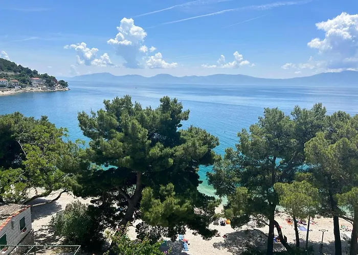 아파트 With Shared Kitchen 