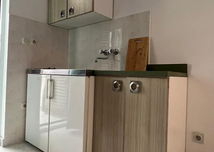 公寓 With Shared Kitchen 