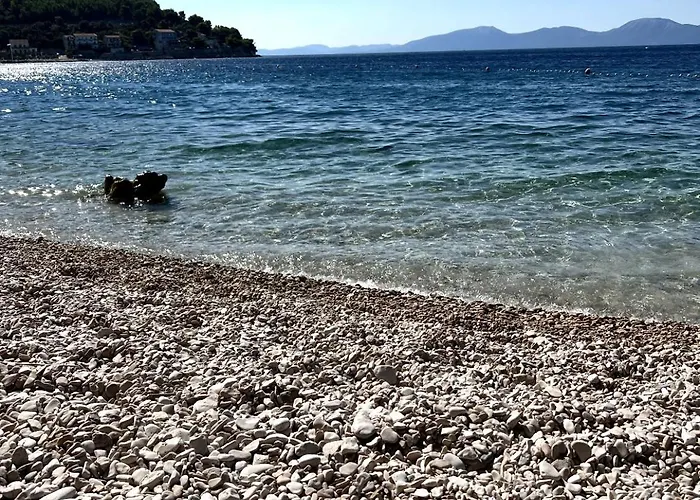 아파트 With Shared Kitchen 